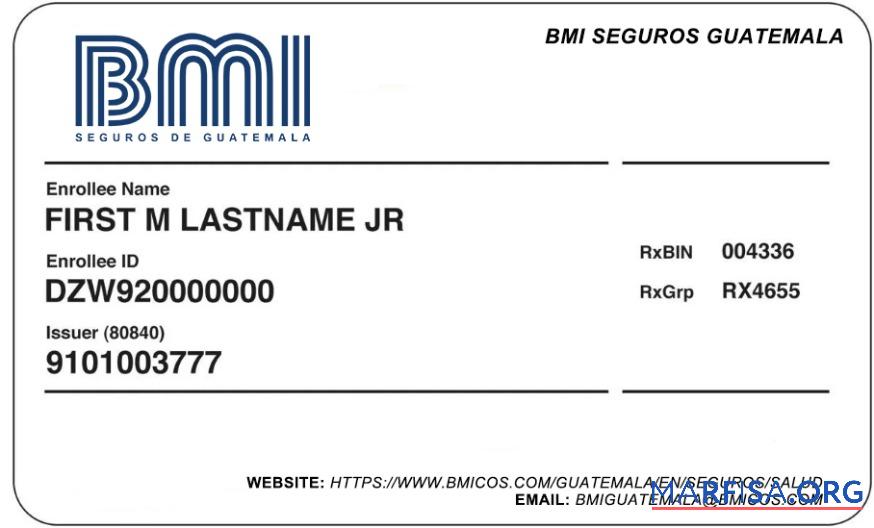 Blank Guatemala health insurance card example